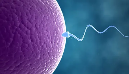 IVF Specialist in Jalandhar